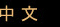 中文